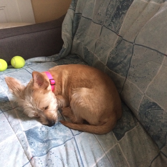 Meet your Posher, Douglas - Picture 3 of 8